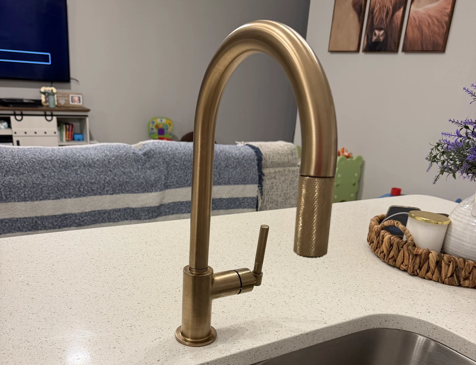 Kitchen Plumbing in the Sarasota area