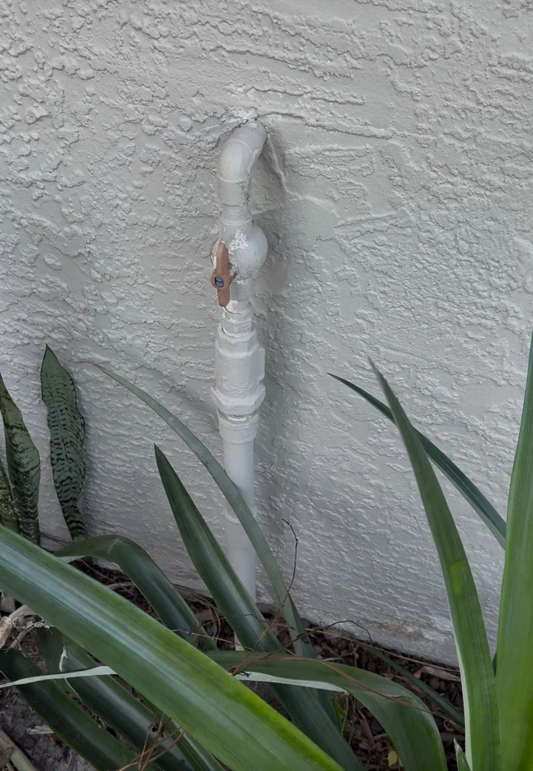 Plumbing Repair in the Sarasota area